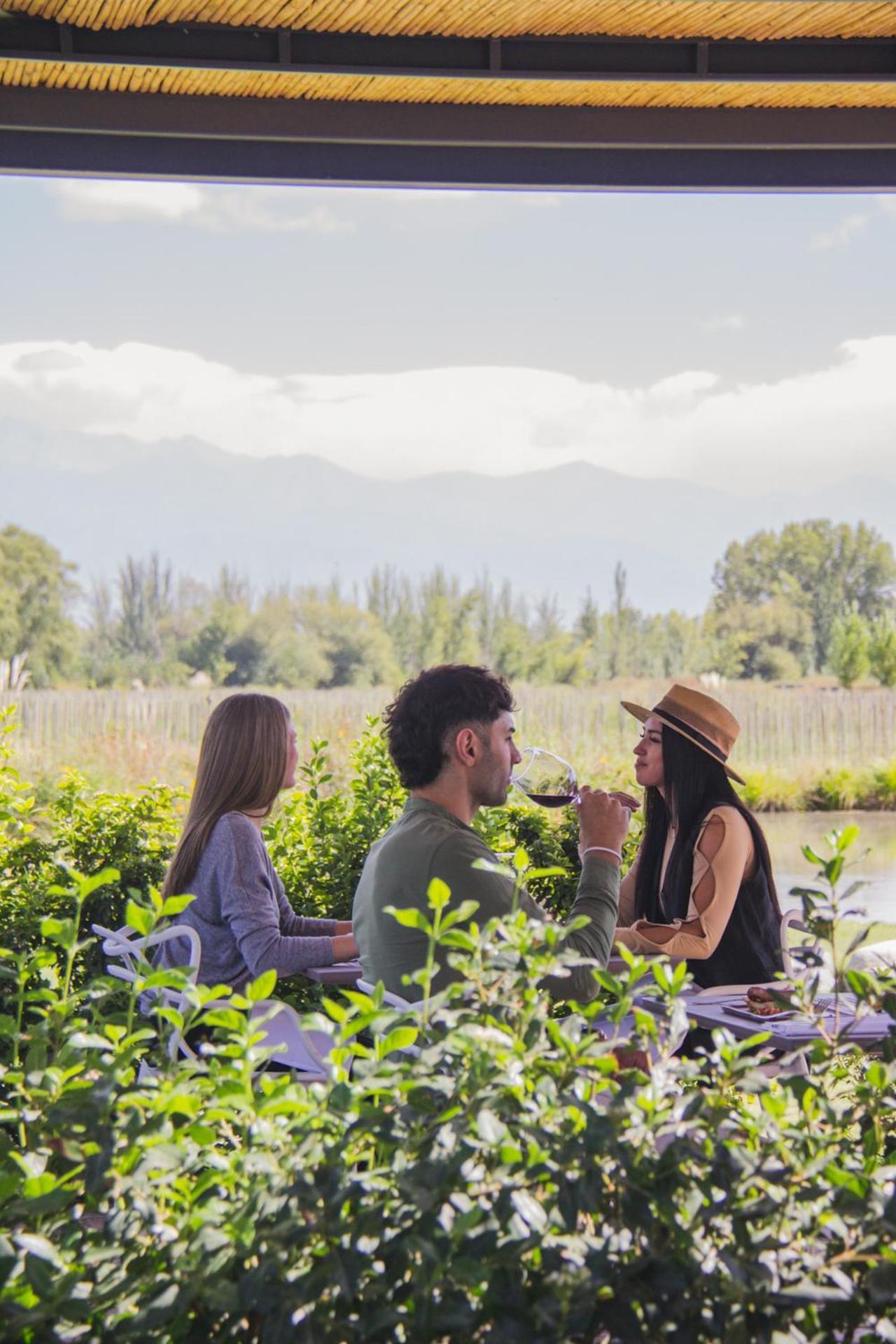 Postales Boutique Winery Hotel - Valle De Uco Colonia Las Rosas Exterior photo