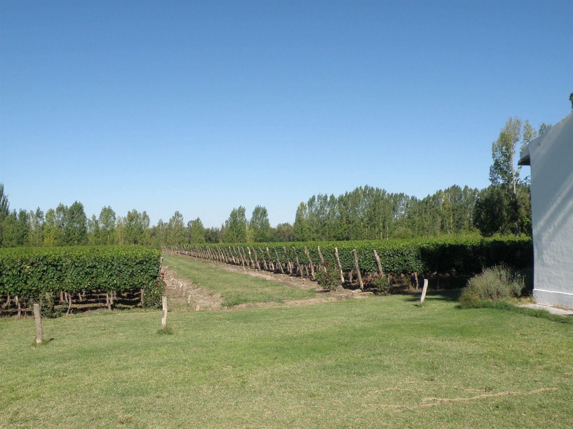 Postales Boutique Winery Hotel - Valle De Uco Colonia Las Rosas Exterior photo