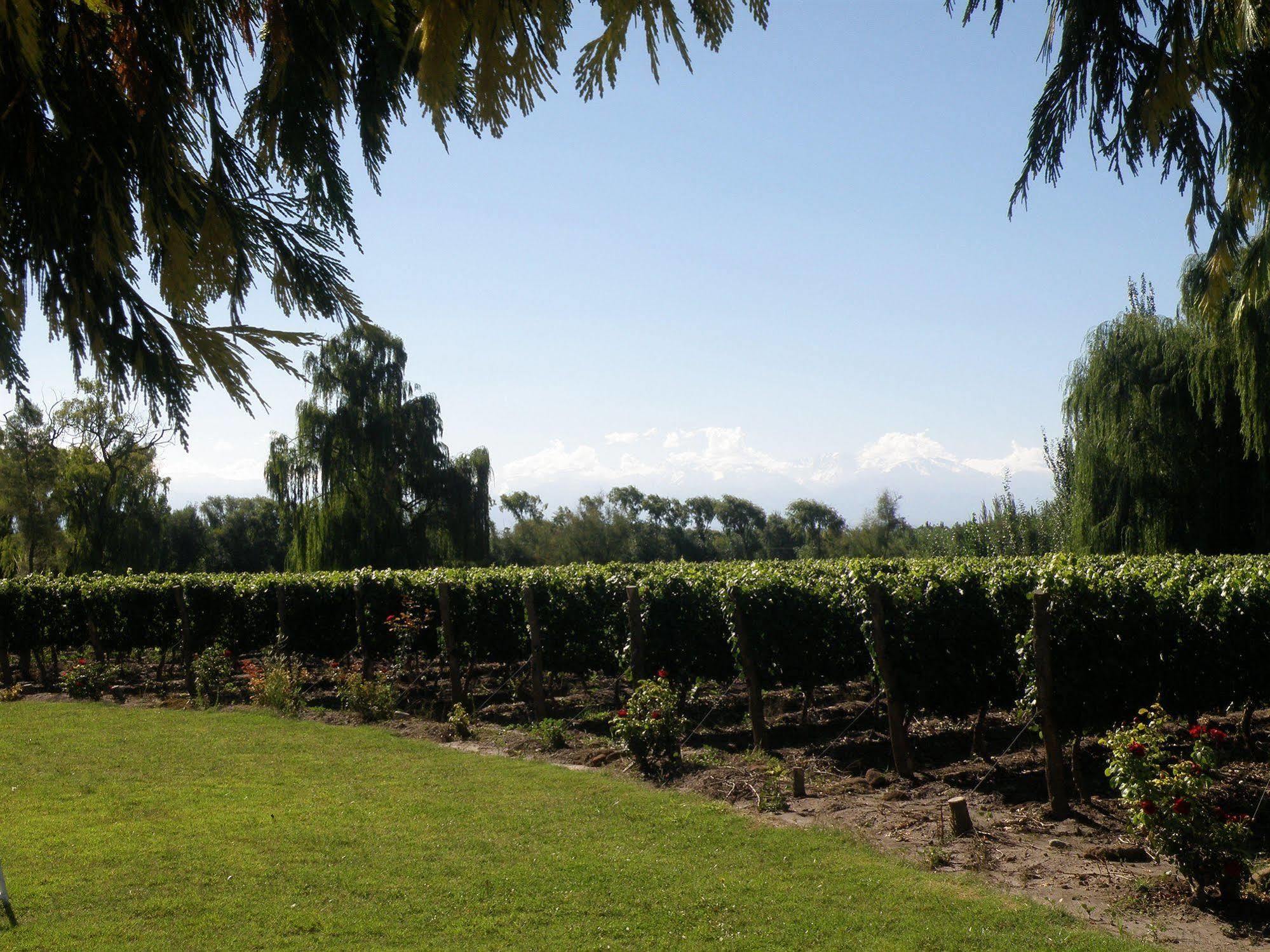 Postales Boutique Winery Hotel - Valle De Uco Colonia Las Rosas Exterior photo