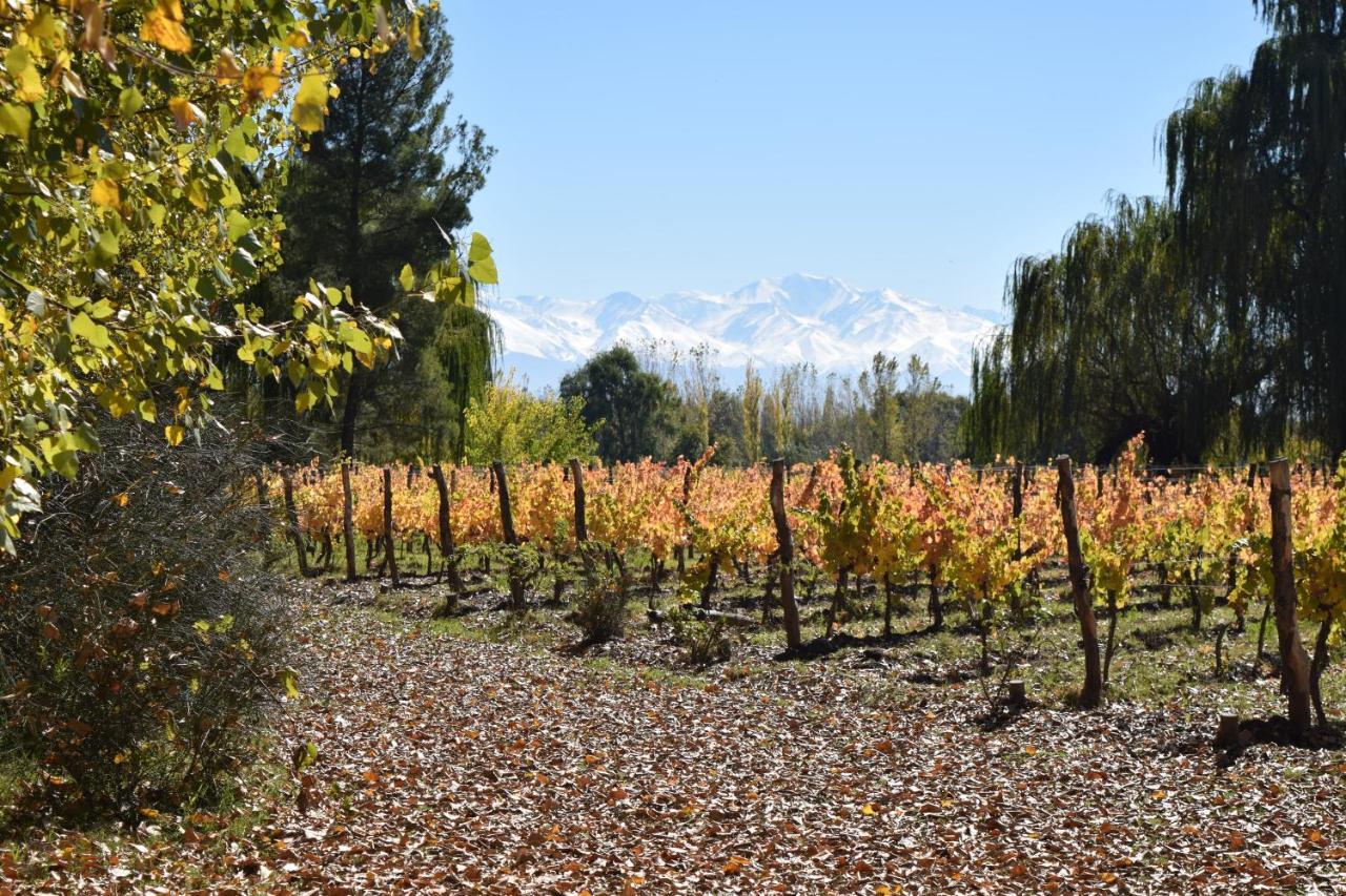 Postales Boutique Winery Hotel - Valle De Uco Colonia Las Rosas Exterior photo
