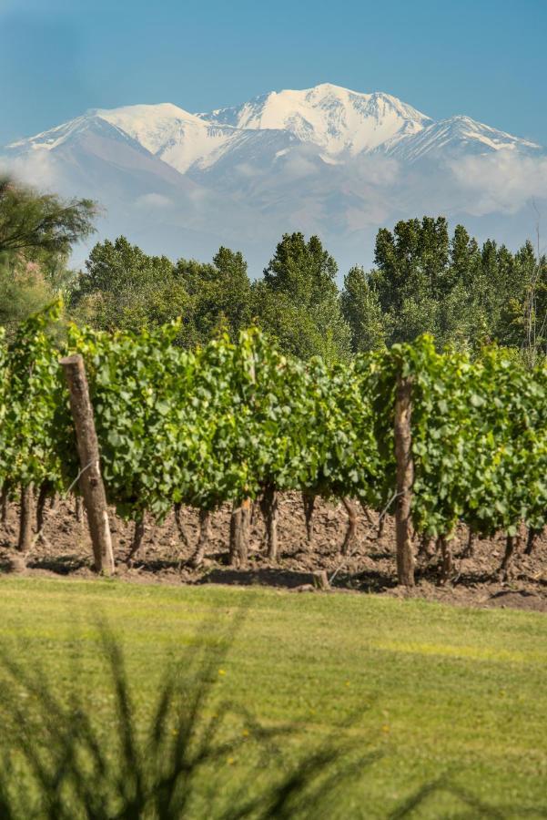 Postales Boutique Winery Hotel - Valle De Uco Colonia Las Rosas Exterior photo
