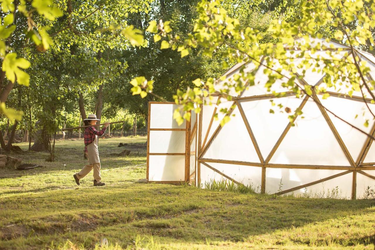 Postales Boutique Winery Hotel - Valle De Uco Colonia Las Rosas Exterior photo